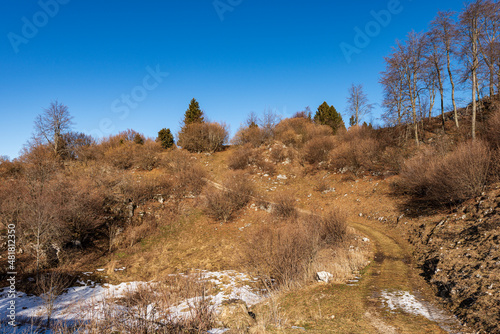 Trekking footpath on Lessinia High Plateau (Altopiano della Lessinia) in winter with bare trees, Regional Natural Park, Bosco Chiesanuova municipality, Verona province, Italy, southern Europe. © Alberto Masnovo