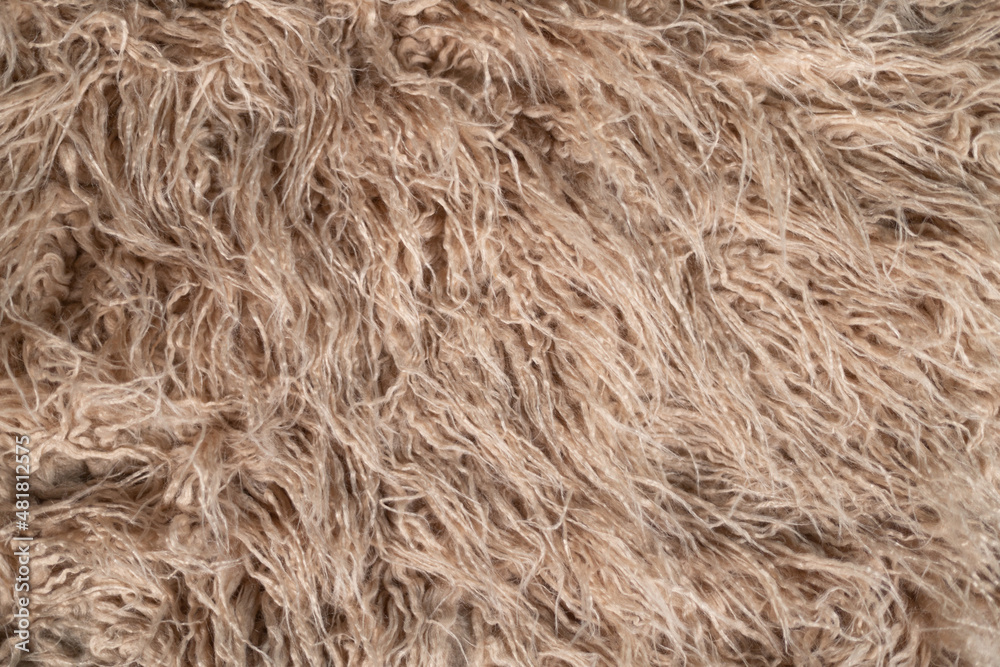 Fototapeta premium straw beige hair texture