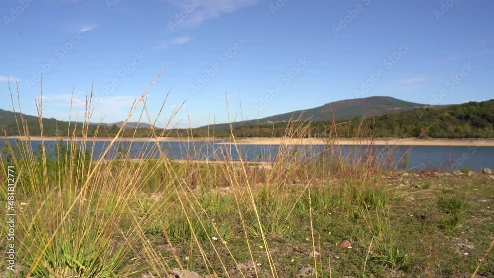 windy meadow next to a lake in the countryside windy meadow next to a lake in the countryside