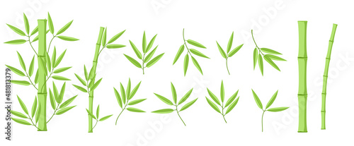 Valokuva Bamboo green decoration elements in realistic style