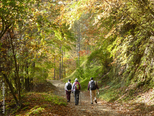 紅葉の紅葉の西沢渓谷を人生を語らいながら歩く。静寂。