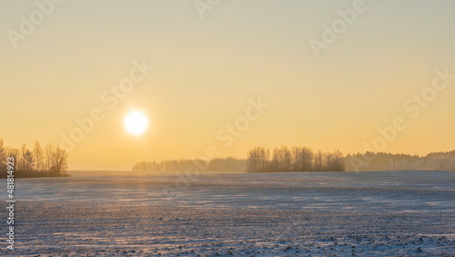 Winter landscape in snow nature with sun, field and trees. Magical winter sunset in a snow field. © kalyanby