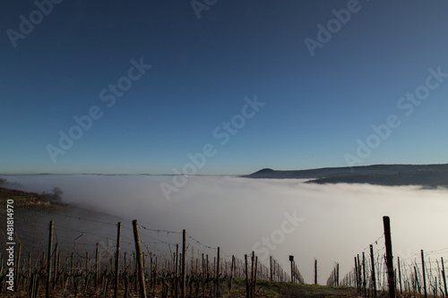 Nebel   ber Ahrweiler