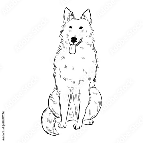 White Swiss Shepherd dog isolated on white background. Hand drawn dog breed vector sketch.