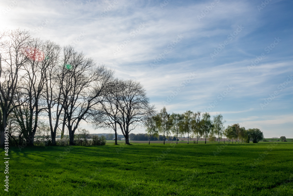 Obraz premium Cloud images with rain clouds and storm clouds in the landscape