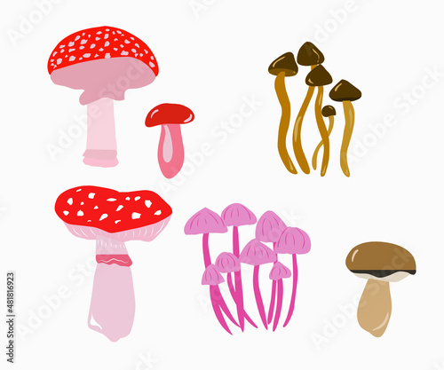 vector set of mushrooms in a flat and cartoon style on a white background, fly agaric mushrooms, chanterelles and honey mushrooms
