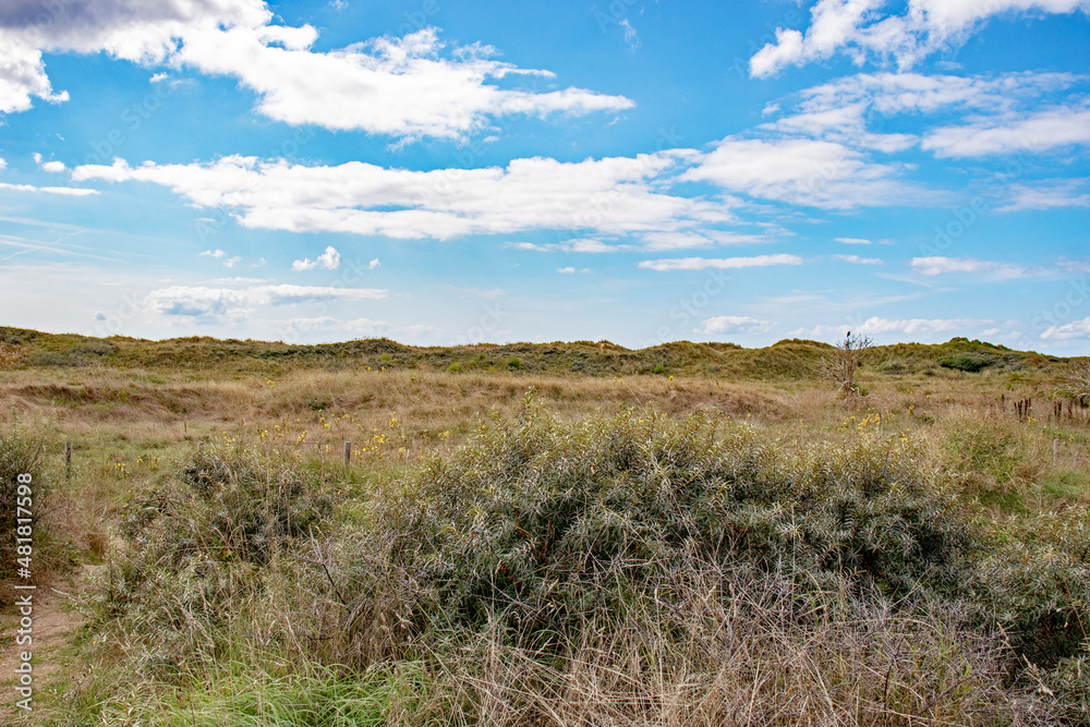 Sand dunes in the summertime. Sand dunes in the summertime.