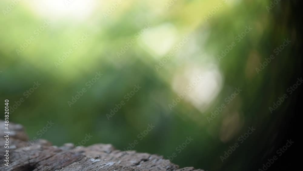 Empty wood floor on hearts bokeh nature background. Empty wood floor on hearts bokeh nature background.