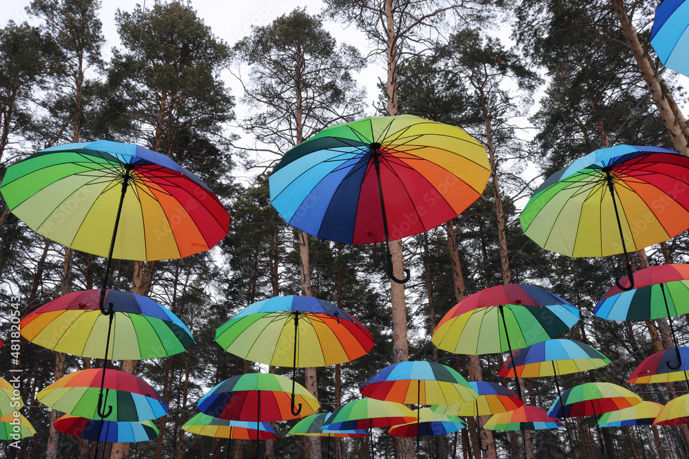 flying airy colorful umbrellas against the backdrop of a winter pine forest.