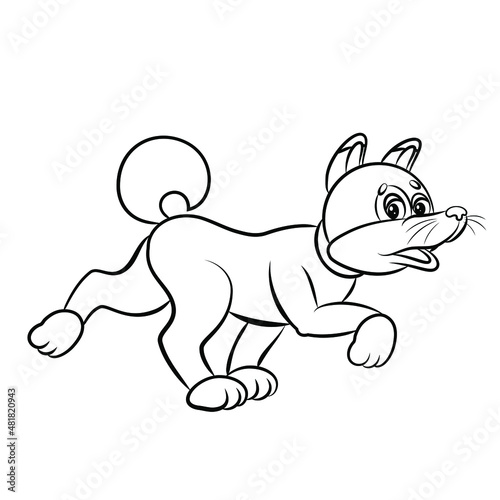 In the animal world, fox. Black and white image, coloring. Vector drawing.