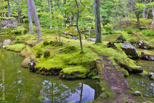 西芳寺、林、苔、小道