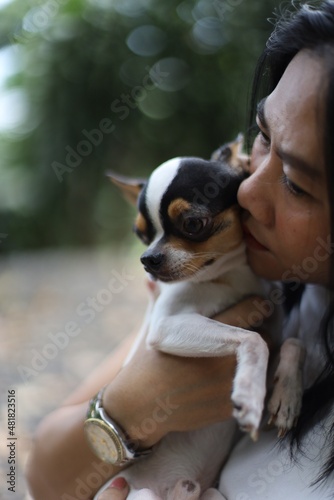 Lovely female model kissing funny bulldog puppy. Indoor portrait of refined dark-haired girl posing on outdoor background with dog.
