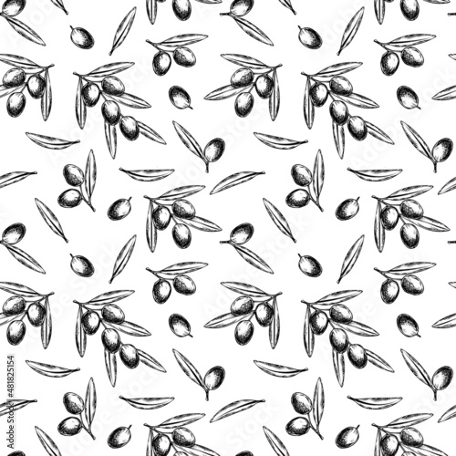 Vector hand drawn seamless pattern of olive branches.