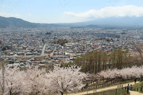 Japanese Town from Above with Cherry Blossoms in the Foreground