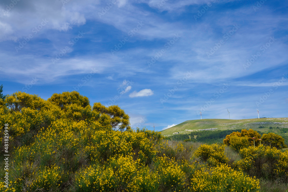 Landscape in Molise near Macchiagodena and Sant Angelo in Grotte