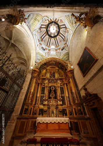 Catedral de Burgo de Osma, Burgo de Osma, Soria, Castilla y león, España