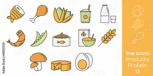 Colored line icons of protein products. Vector, on a white background. Food