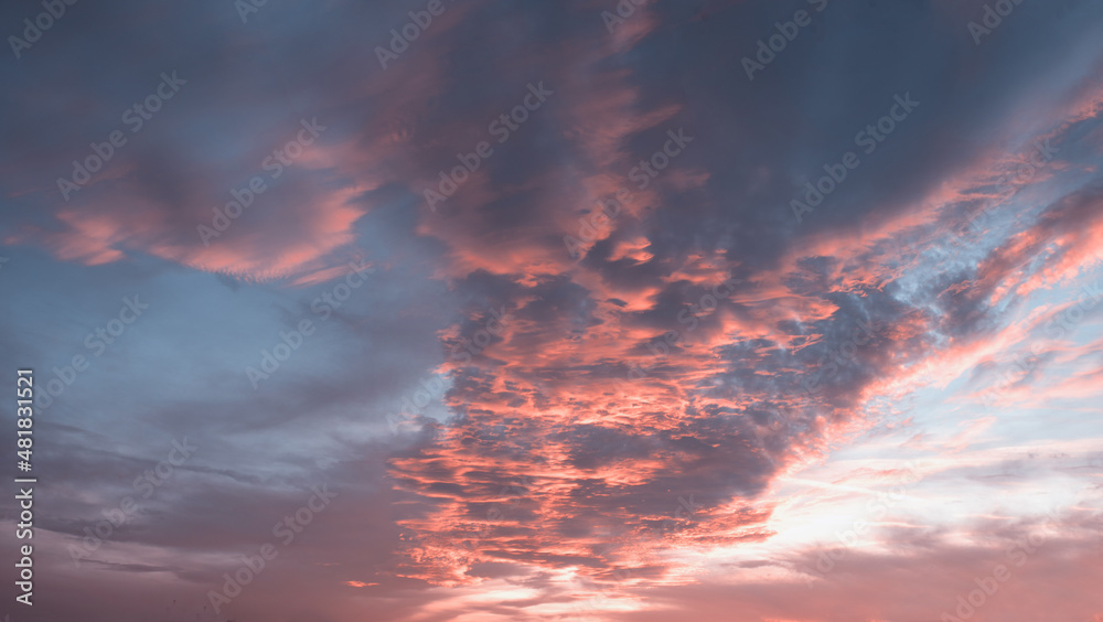 fleecy sunset cloud formation pink and grey, in the evening