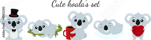 Cute little australian koala's. Set of cartoon koala's on a white background. Vector illustration