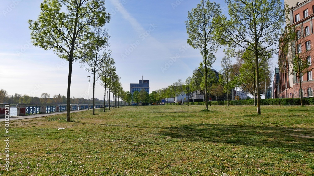 Obraz premium Parkgelände an der Walzmühle, in Ludwigshafen am Rhein, Rheinland-Pfalz, Deutschland.