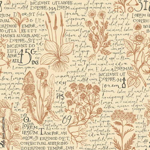 Seamless pattern with hand-drawn medicinal herbs and handwritten text Lorem Ipsum on a beige backdrop. Vector background on the theme of herbal medicine. Retro wallpaper, wrapping paper, fabric design © paseven