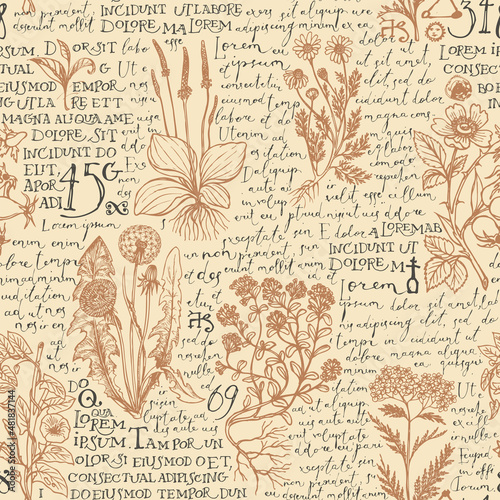 Seamless pattern with hand-drawn medicinal herbs and handwritten text Lorem Ipsum on a beige backdrop. Vector background on the theme of herbal medicine. Retro wallpaper, wrapping paper, fabric design