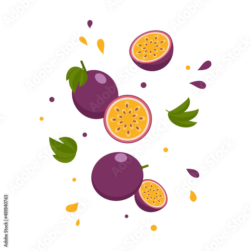levitating passion fruit, vector illustration.