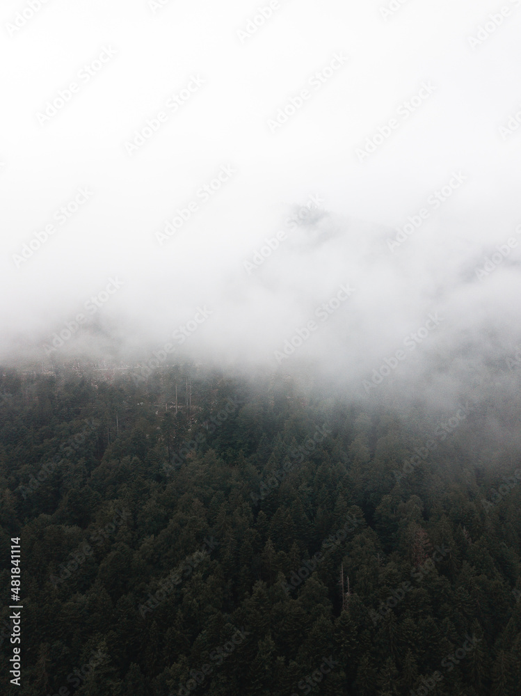 Nebel in den Bergen, Alpen, viele Wolken, Luftaufnahme