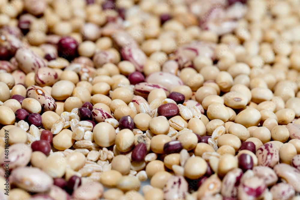 various types of cereals and legumes