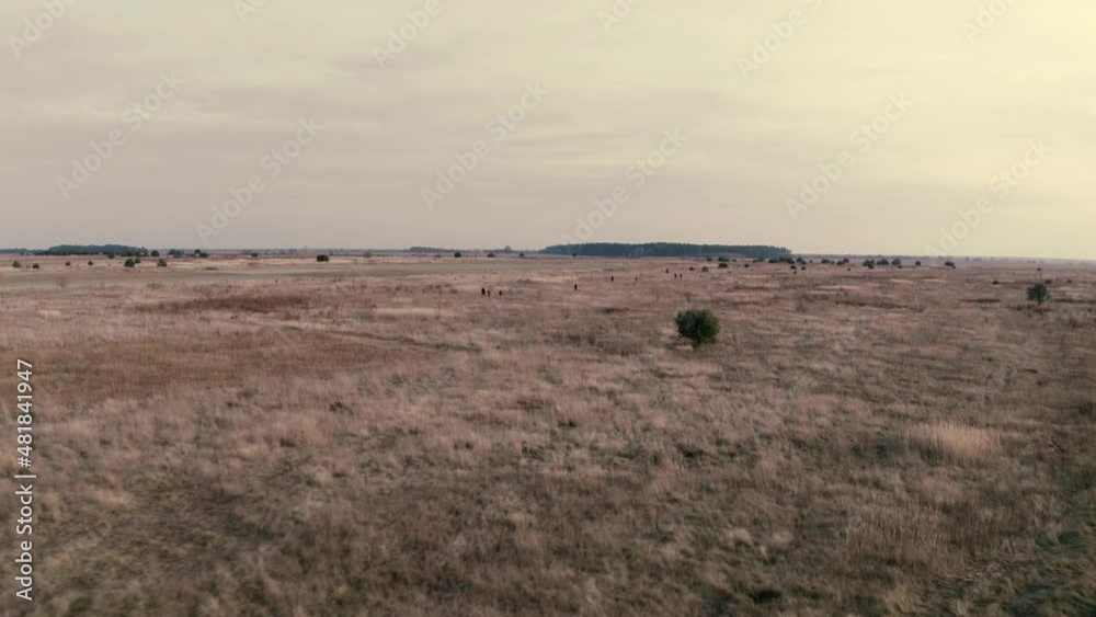 People are wondering in steppe. Hunter, traveler, wanderer. Wilderness. Dry grass. People are wondering in steppe. Hunter, traveler, wanderer. Wilderness. Dry grass.