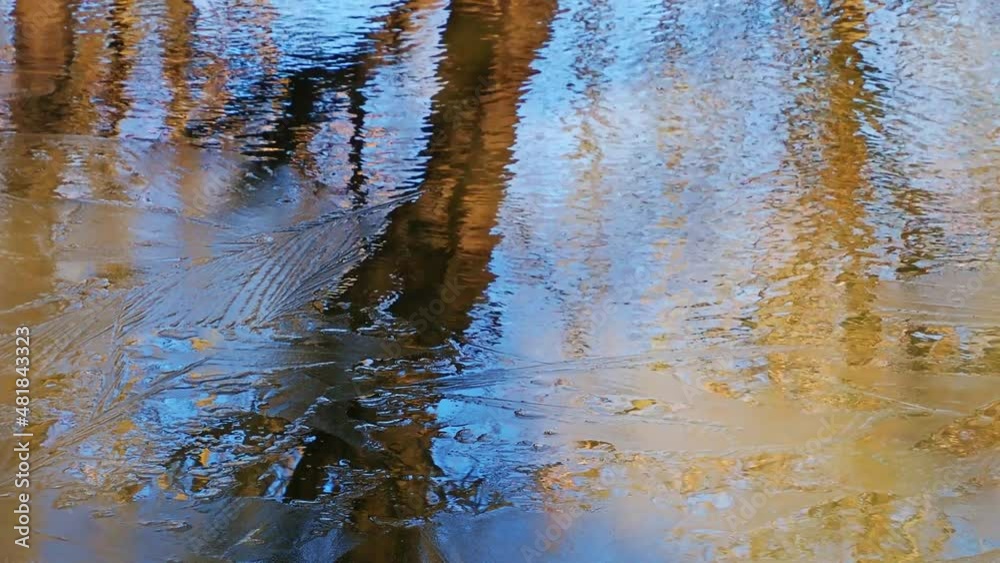 水面にゆらぐ冬の木々
Winter trees swaying on the surface of the water 水面にゆらぐ冬の木々
Winter trees swaying on the surface of the water