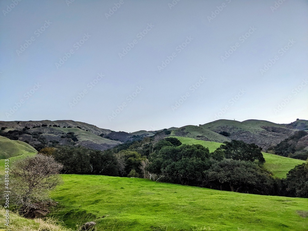 landscape with blue sky