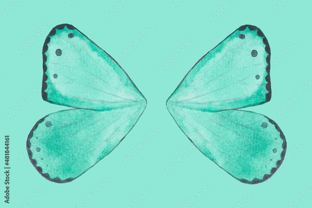 Newborn digital composite butterfly on a green background Newborn digital composite butterfly on a green background