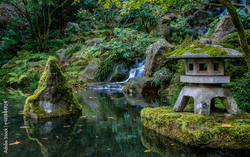 japanese garden pond