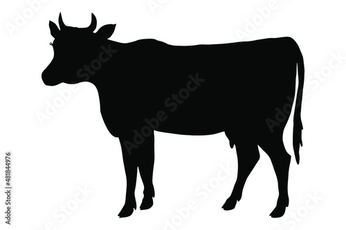 Cow silhouette. Vector stock illustration eps10. Isolate on white background  outline  hand drawing.