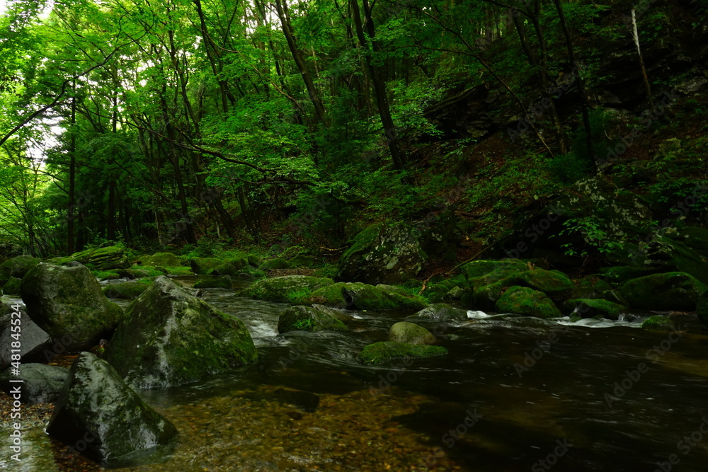Otome Waterfall or Otome-no-taki and Green Moss Canyon in Nasu, Tochigi, Japan - 日本 栃木県 那須塩原 乙女の滝 Otome Waterfall or Otome-no-taki and Green Moss Canyon in Nasu, Tochigi, Japan - 日本 栃木県 那須塩原 乙女の滝