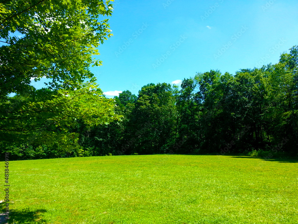 grass and blue sky