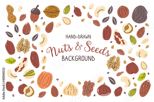 Nuts and seeds background. Food ingredients for cooking illustration. Isolated colorful hand-drawn icons on white background. Vector illustration. photo