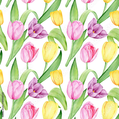 Watercolor hand drawn seamless floral pattern. Bright colorful tulips on white background. 