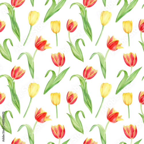 Watercolor hand drawn seamless floral pattern. Yellow and red tulips  flowers on white background. 