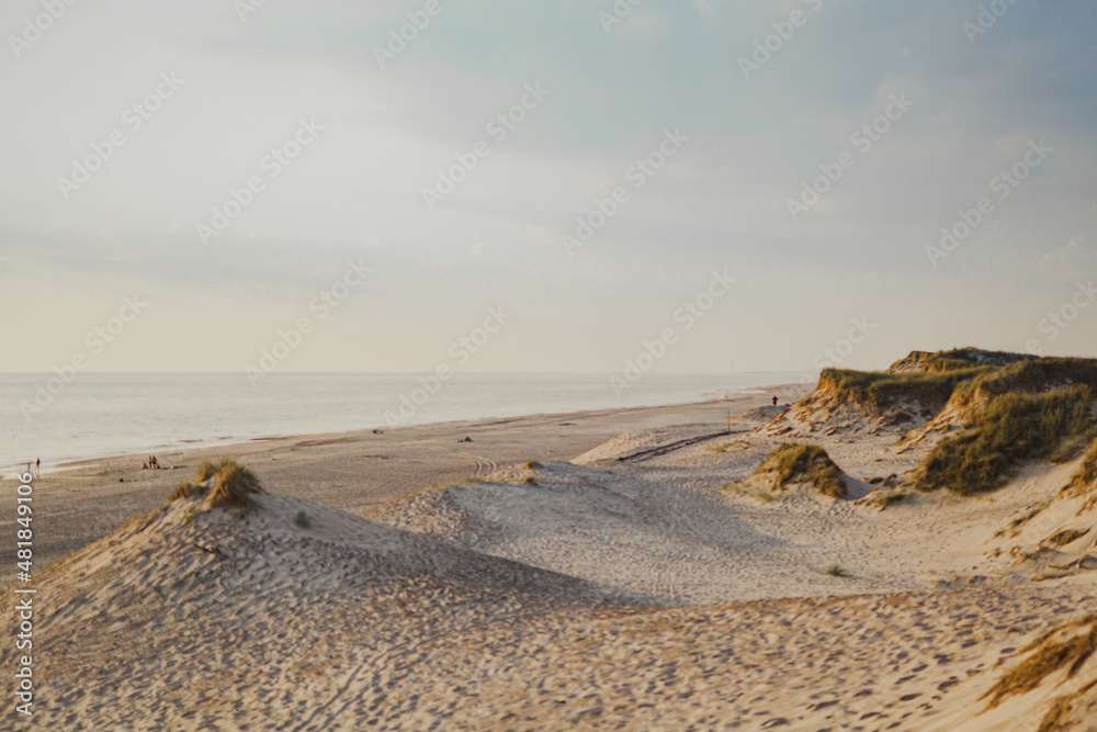 Dunes and Beach on Ocean Background