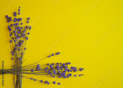 Fresh lavender flowers bouquet on yellow color background. Flatlay purple herbal flower blossom. Bouquet of lavender copy space for text. Lavender aromatherapy.