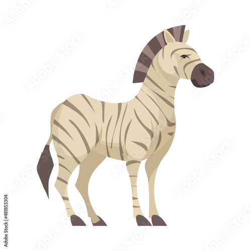 Zebra Flat Illustration
