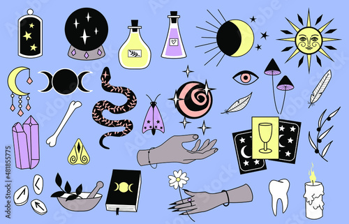 Set of vector magical elements. Runes, tarot, crystal ball, potions, bone, tooth, snake, spell book, moon, sun. Witch esoteric alchemy Attributes.