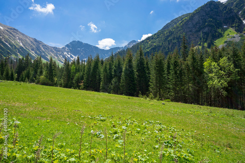 Slovak Western Tatras. Rohacska valley area.