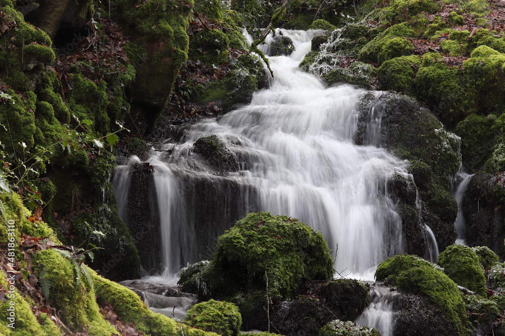 une petite cascade entre rochers et mousse sur un ruisseau en hiver