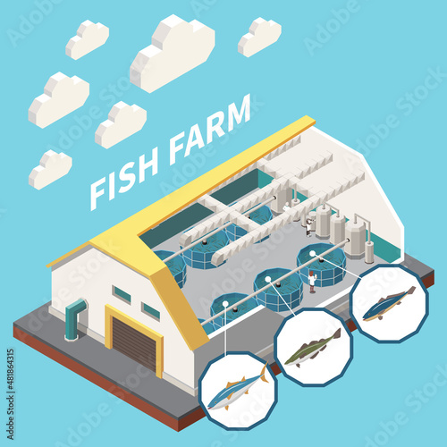 Industrial Fish Production Isometric
