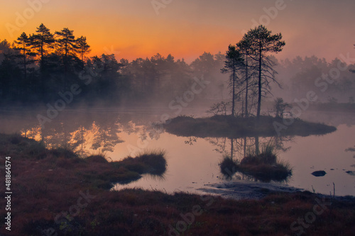 Tagesanbruch im Hochmoor, Schweden