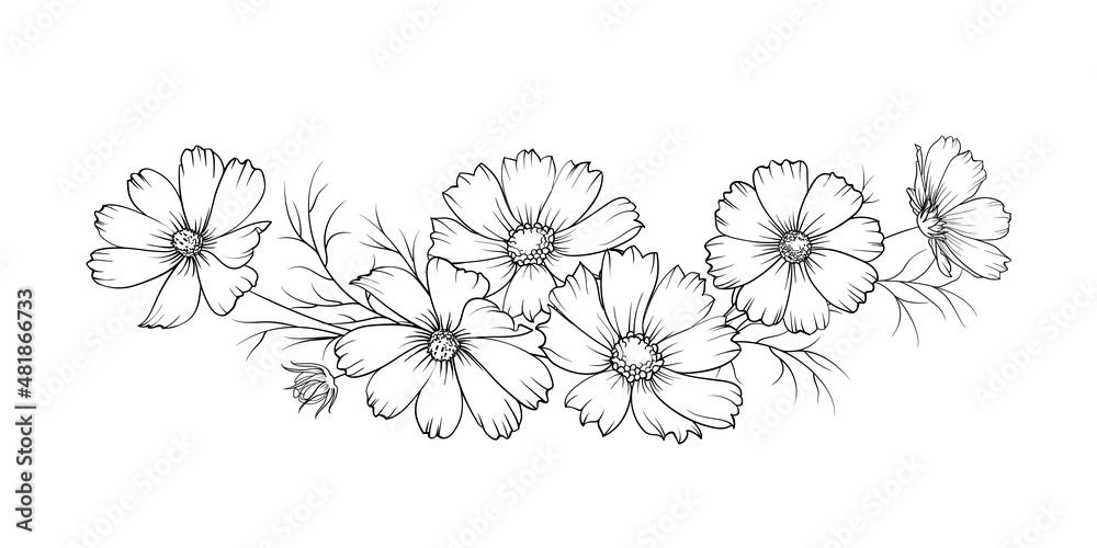 Black silhouette of a garland of cosmos flowers. Vector illustration on white background.