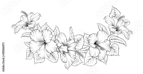 Vector drawing of a frame from hibiscus branches on a black and white background. Tropical flower.